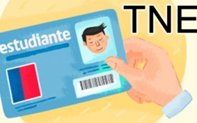 Instructivo TNE 2026